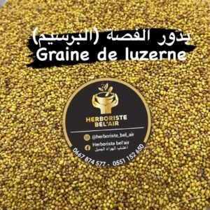 بذور الفصة